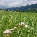 Bucaneve -