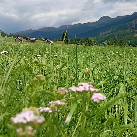 Bucaneve -